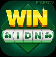 Ikon winidn